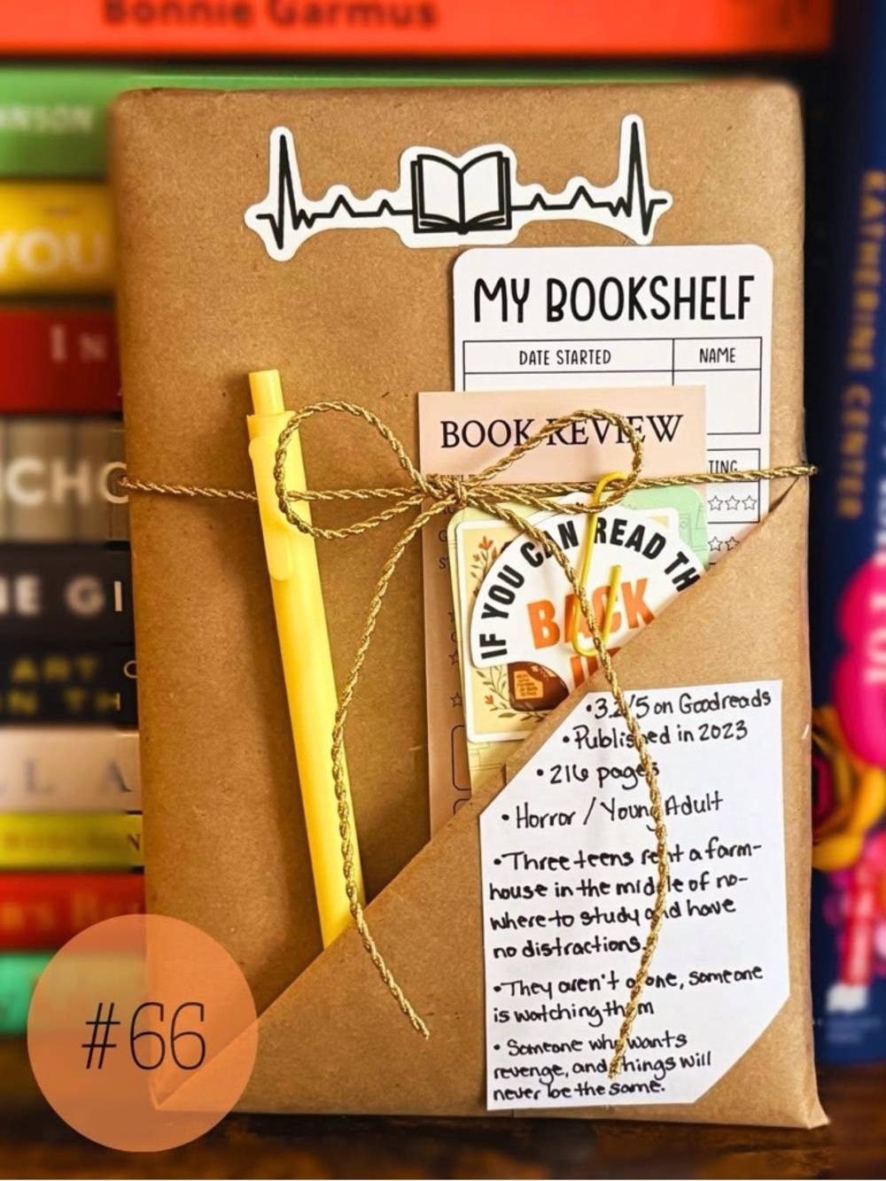 Recycled Read Book Bundle